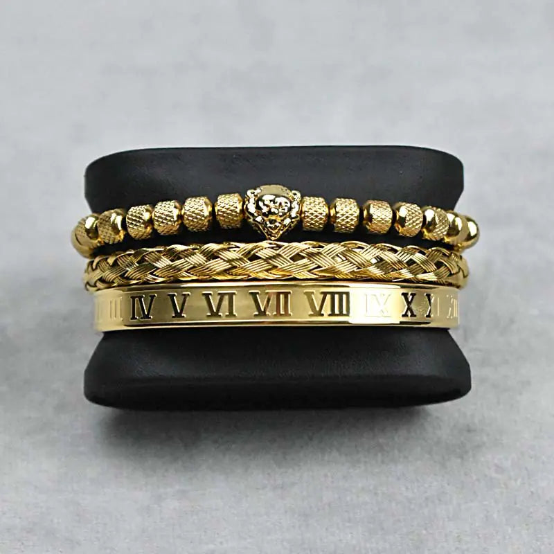 Lion's Pride Titanium Steel Bracelet Set